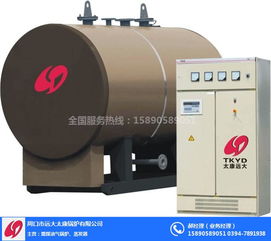 遠大太康鍋爐廠 2T立式熱水鍋爐在環(huán)保工程中的應(yīng)用